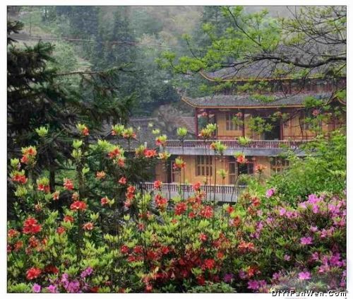 湖南花岩溪圖片