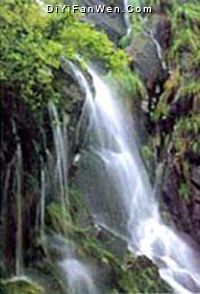 大奇山國家森林公園圖片