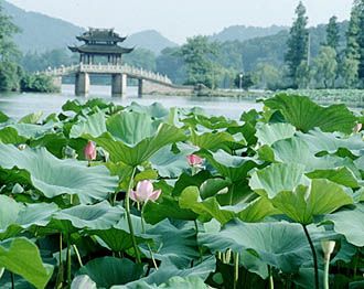 曲園圖片