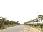 集美學村風景