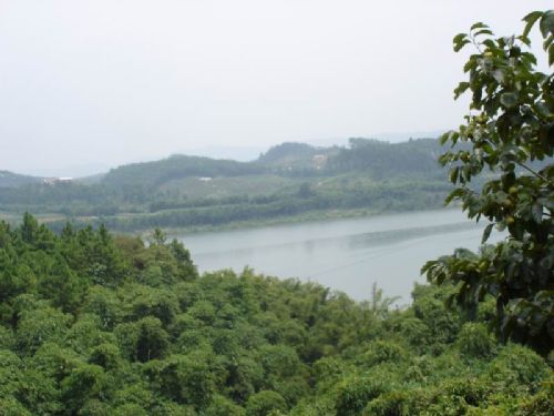 三門江國家森林公園圖片