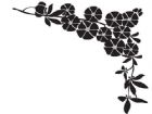 黑板報花邊：百花爭艷