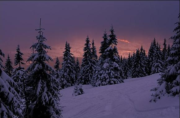 捷克的冬天圖片