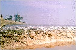 海寧潮圖片