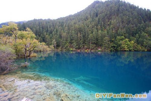 美麗九寨溝圖片
