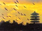 白鷺天堂