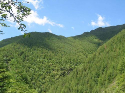 六盤山國家森林公園圖片