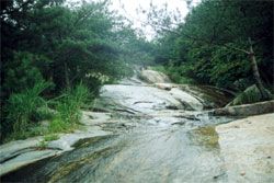 蒙山國家森林公園圖片