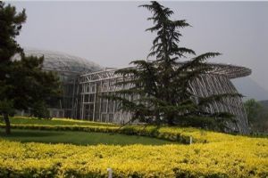 北京市植物園組圖（1）圖片