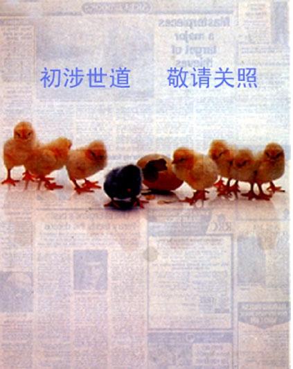 最具創意應屆畢業生簡歷封面模板