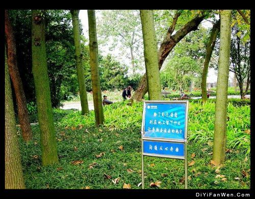 湖南濱湖公園圖片