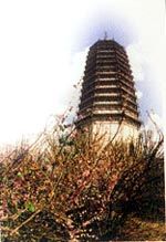 農安古塔圖片