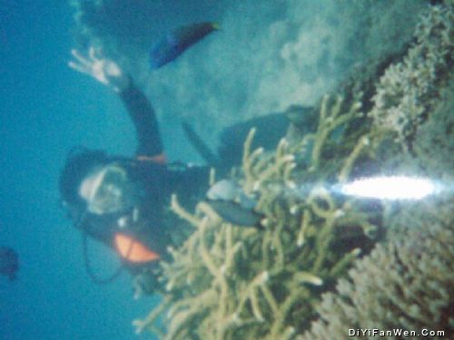 蜈支洲島圖片