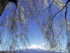 夢幻富士山美景