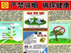 世界無菸日手抄報：手抄報內容青少年危害