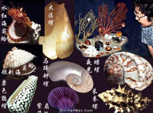 北海海底世界圖片