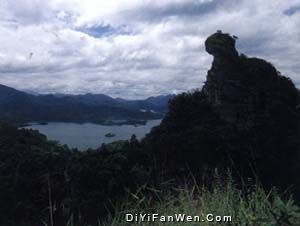 貓兒山國家級森林公園圖片