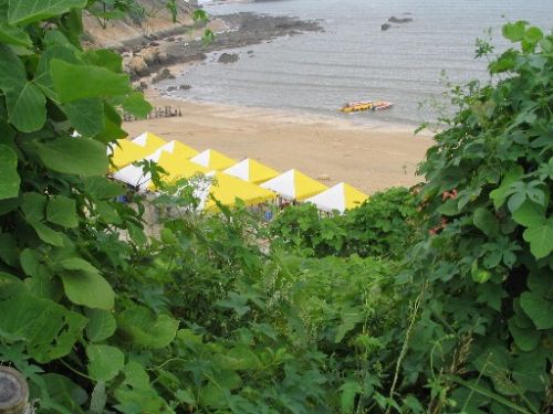 蛤蜊島圖片