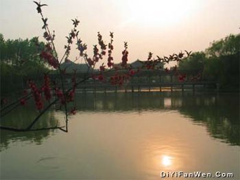 瘦西湖圖片
