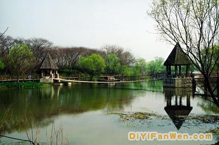 揚州鳳凰島圖片