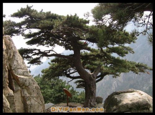 山東後石塢圖片