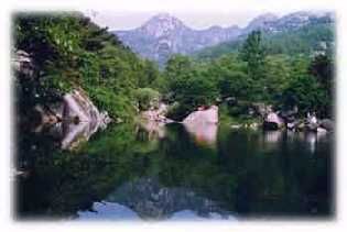 魯山森林公園圖片