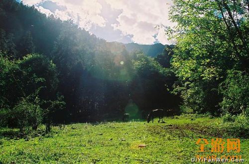 遊走茶馬古道圖片