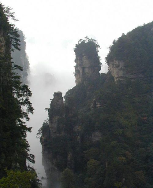 遠眺楊家界圖片
