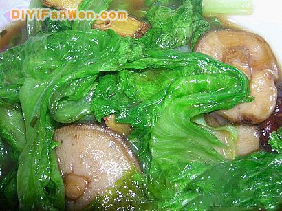 蚝油香菇生菜