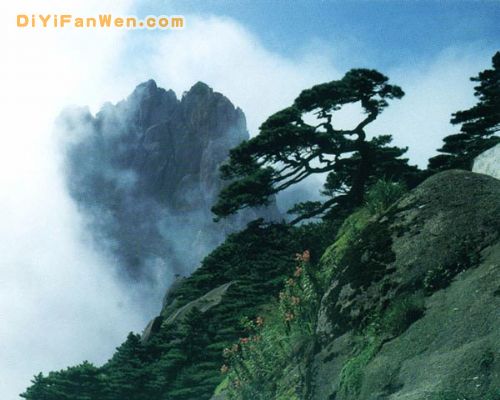 黃山景區圖片