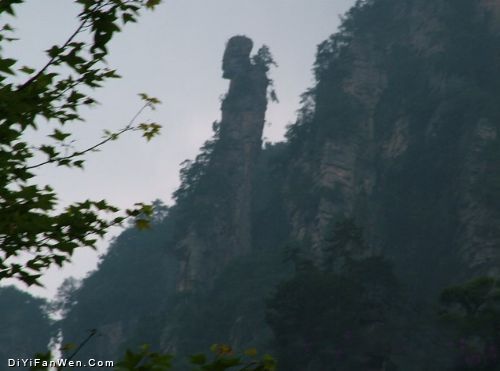 沼池圖片