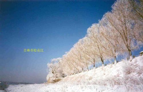 松花江圖片