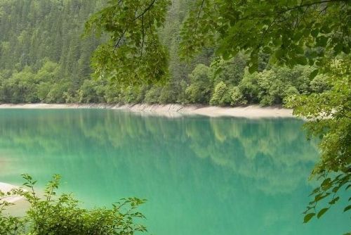 四川熊貓海圖片