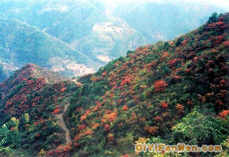 王屋山風景區圖片
