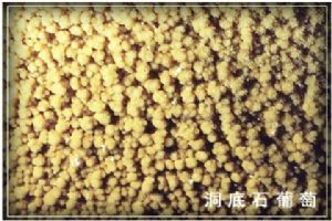 北京石花洞組圖（3）圖片