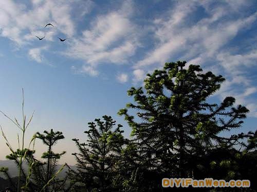 董寨國家級自然保護區圖片