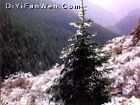 賀蘭山風景區