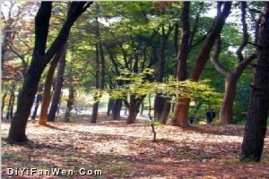 天平山圖片