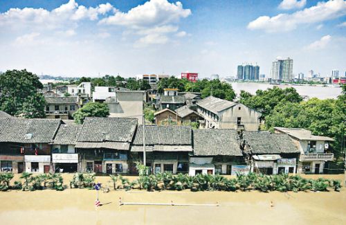 橘子洲圖片