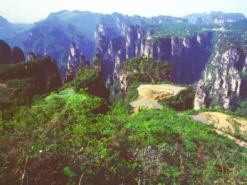 天子山風情圖片