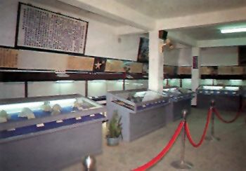 左鎮化石博物館圖片