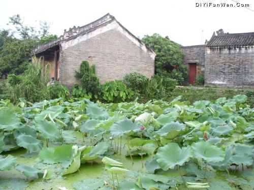 楊美古鎮圖片