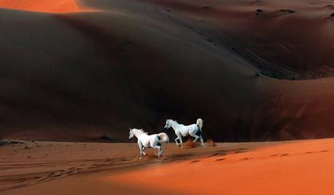紅海沙漠圖片