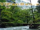香格里拉大峽谷碧壤峽谷