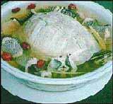 龜蛇大補湯
