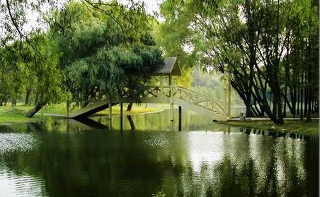 共青森林公園圖片