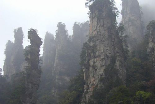 遠眺楊家界圖片