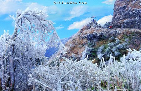 大明山圖片