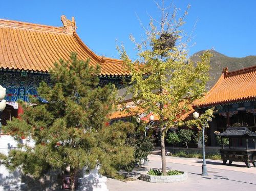 聖恩禪寺圖片