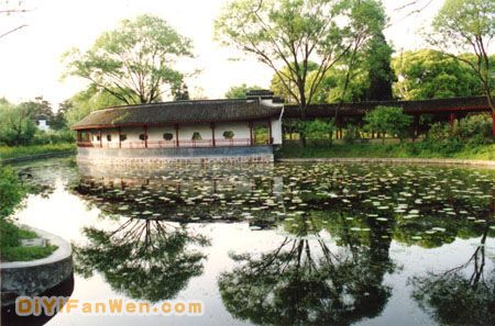 紅梅公園圖片